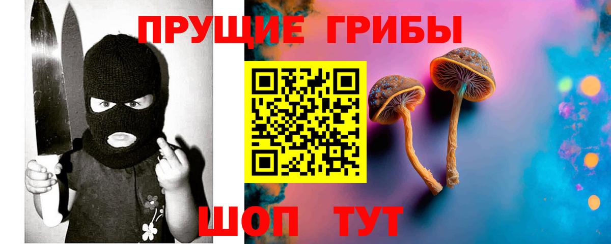 Чернушка  Псилоцибиновые грибы Psilocybe  Вход с VPN  Псилоцибиновые грибы Cubensis 